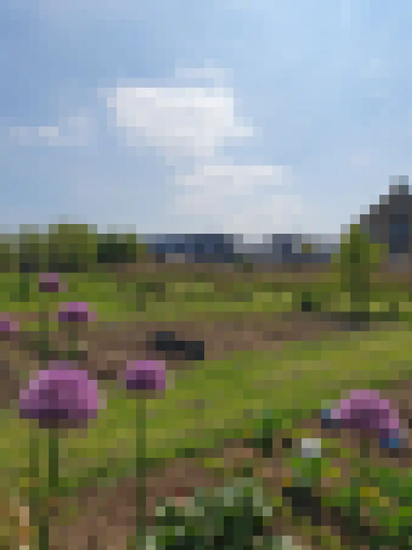 Vuurvlinder 83 Den Burg thumbnail 83