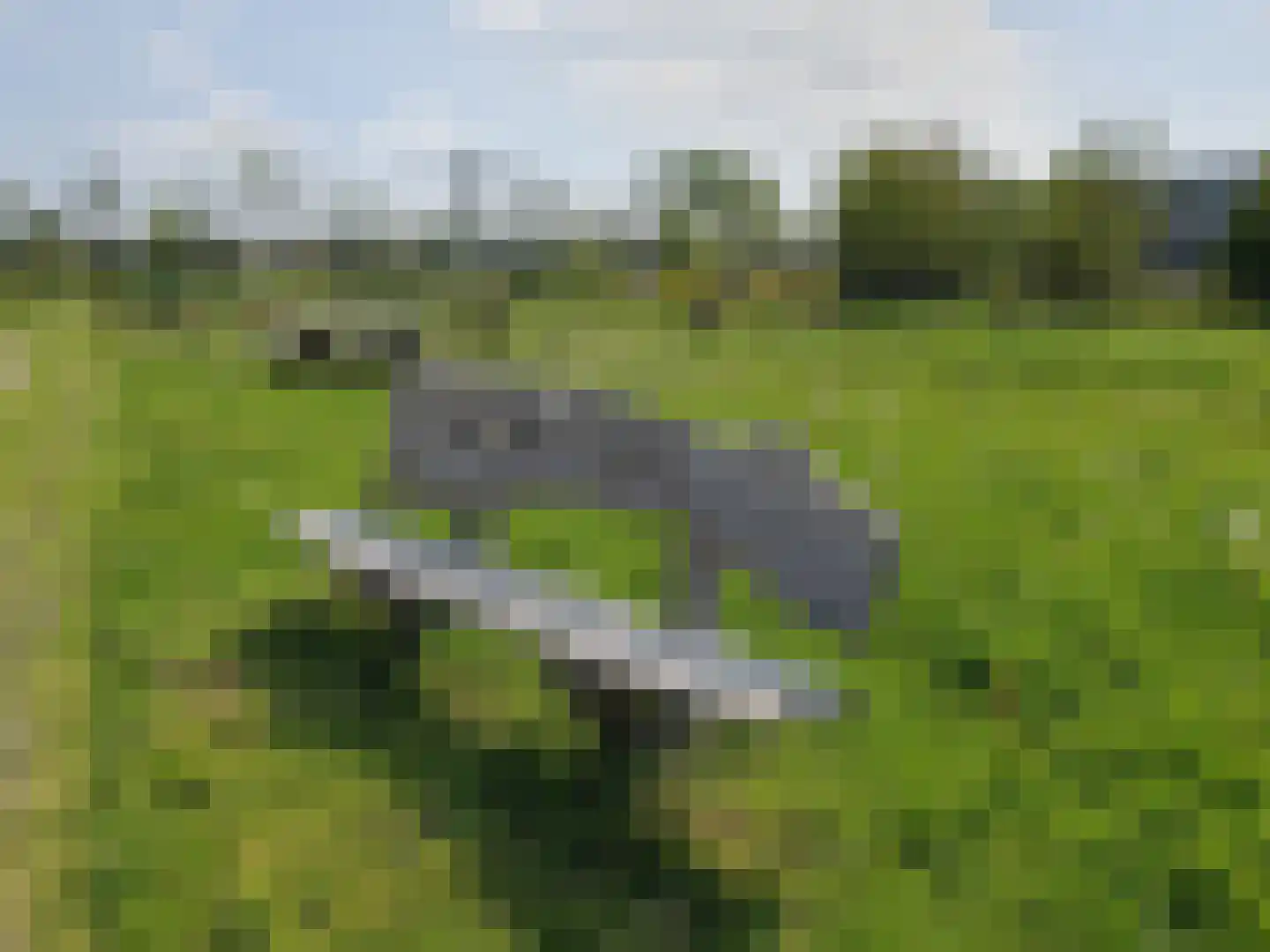 Vuurvlinder 83 Den Burg thumbnail 84
