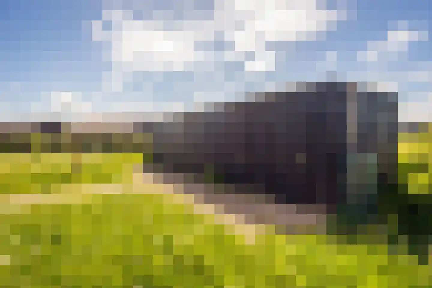 Vuurvlinder 87 Den Burg thumbnail 16