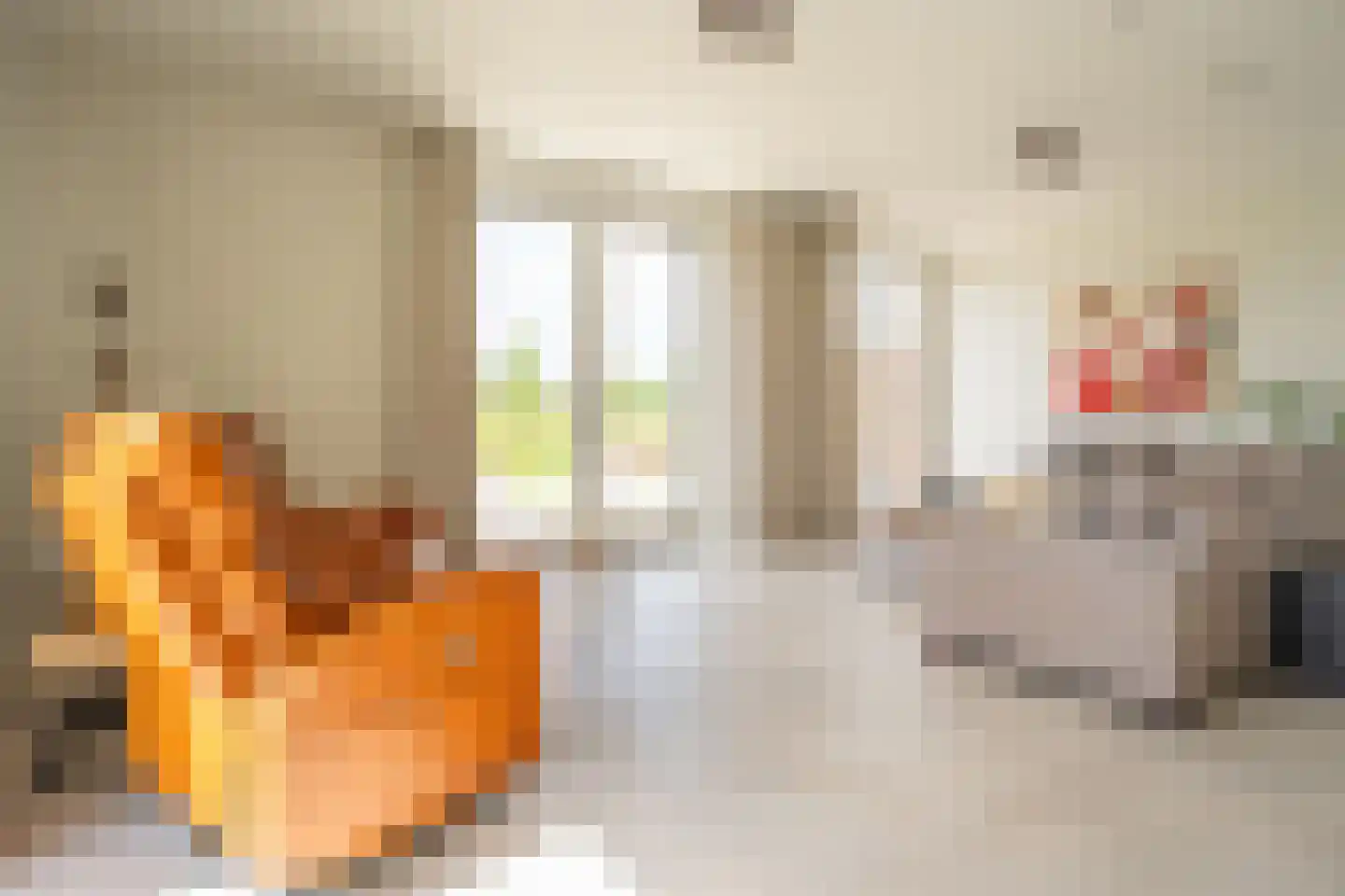 Vuurvlinder 87 Den Burg thumbnail 20