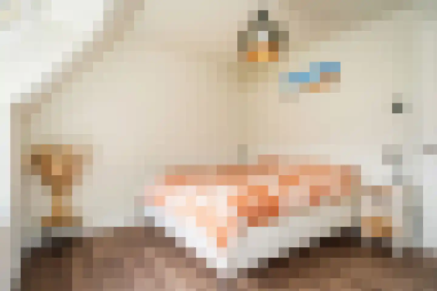 Vuurvlinder 87 Den Burg thumbnail 33