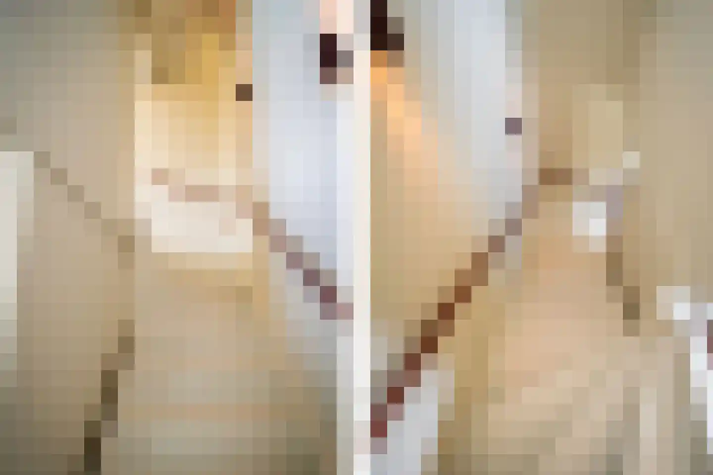 Vuurvlinder 87 Den Burg thumbnail 39