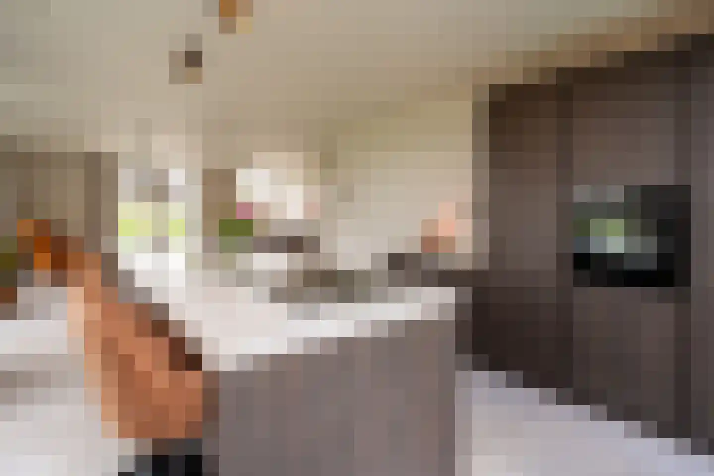 Vuurvlinder 87 Den Burg thumbnail 5