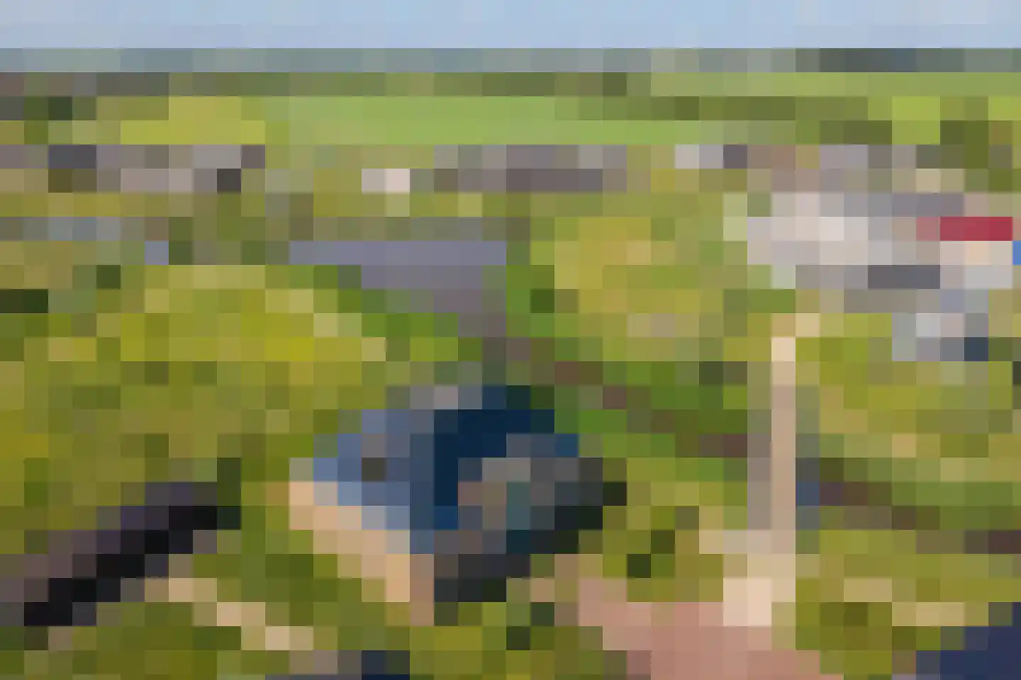 Vuurvlinder 87 Den Burg thumbnail 8