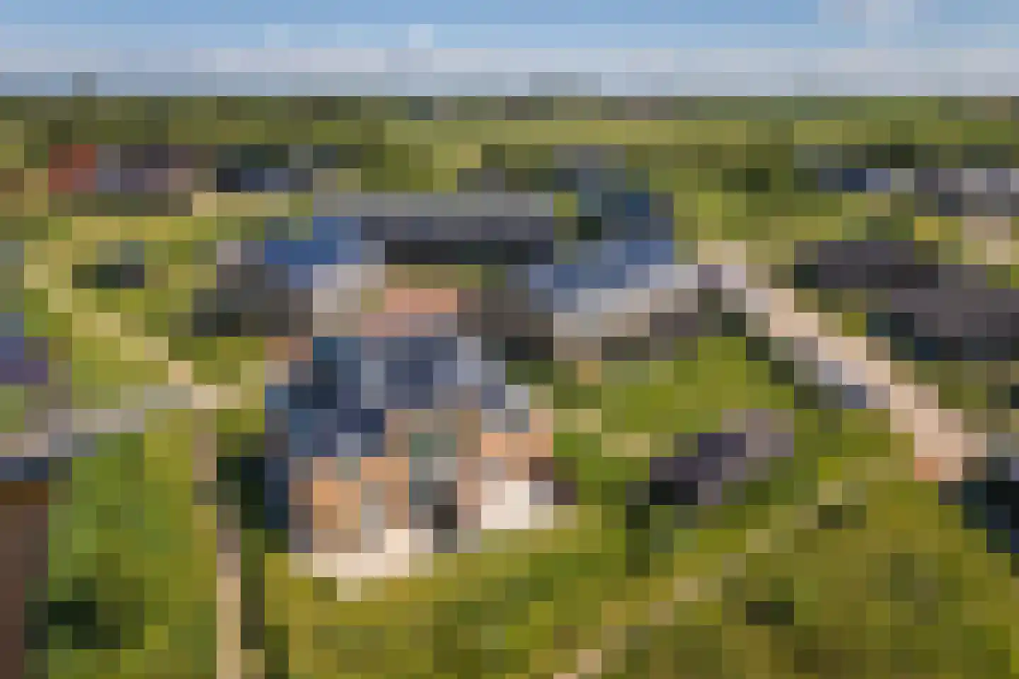 Vuurvlinder 87 Den Burg thumbnail 9