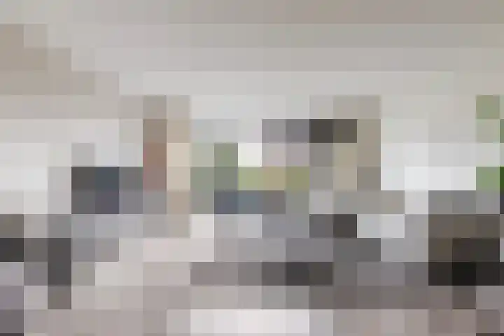 Vuurvlinder 88 Apeldoorn thumbnail 10