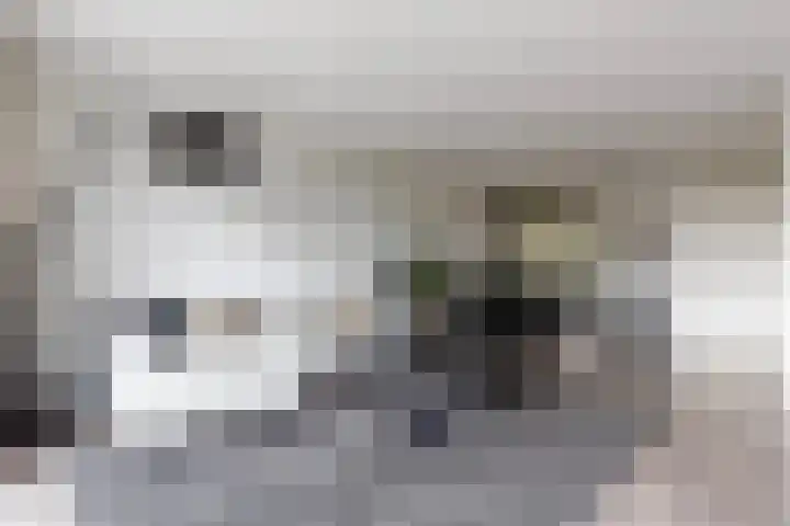 Vuurvlinder 88 Apeldoorn thumbnail 11