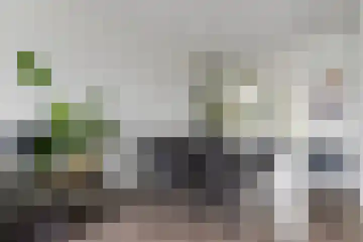 Vuurvlinder 88 Apeldoorn thumbnail 13