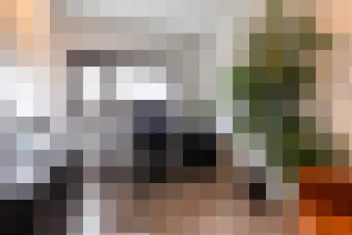 Vuurvlinder 88 Apeldoorn thumbnail 19