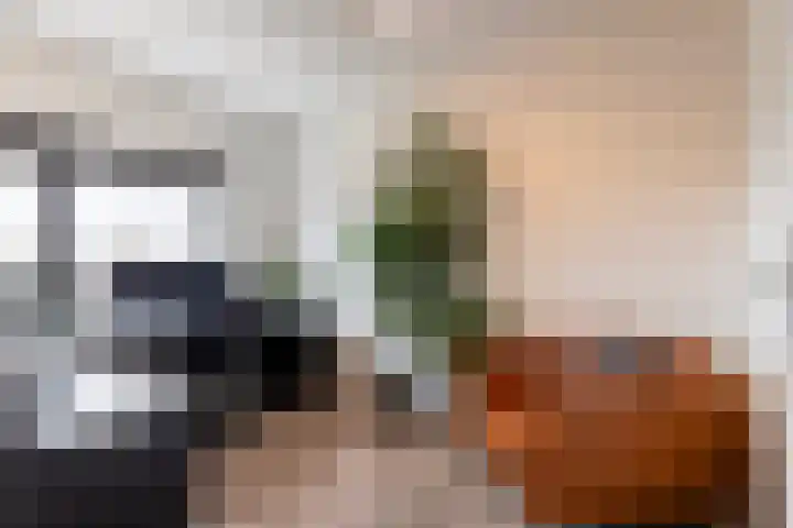 Vuurvlinder 88 Apeldoorn thumbnail 20