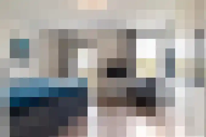 Vuurvlinder 88 Apeldoorn thumbnail 21