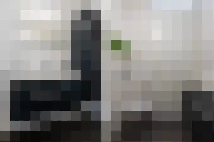 Vuurvlinder 88 Apeldoorn thumbnail 24