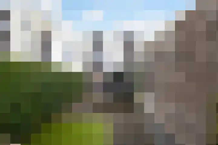 Vuurvlinder 88 Apeldoorn thumbnail 27