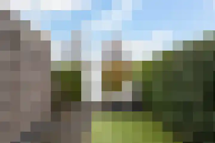 Vuurvlinder 88 Apeldoorn thumbnail 29