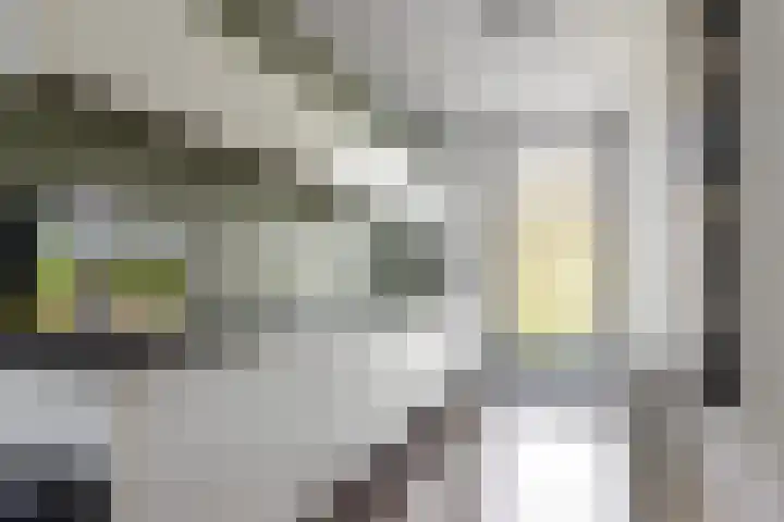 Vuurvlinder 88 Apeldoorn foto 3
