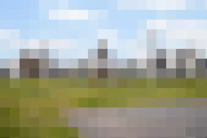 Vuurvlinder 88 Apeldoorn thumbnail 31
