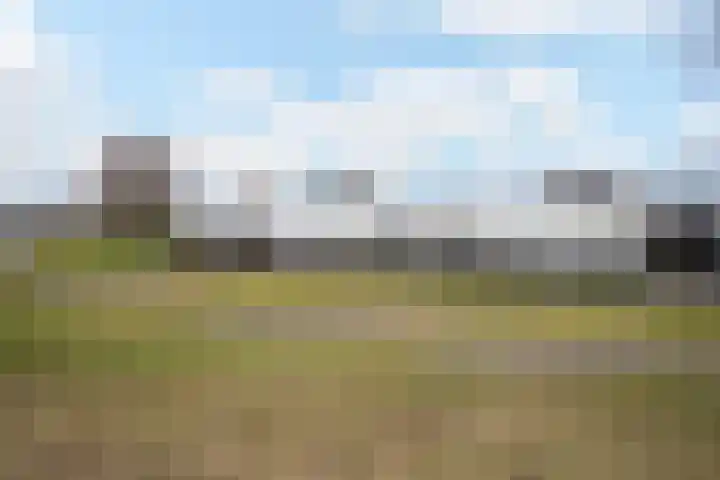 Vuurvlinder 88 Apeldoorn thumbnail 4