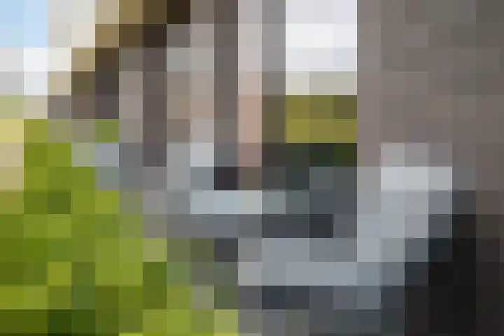 Vuurvlinder 88 Apeldoorn thumbnail 6