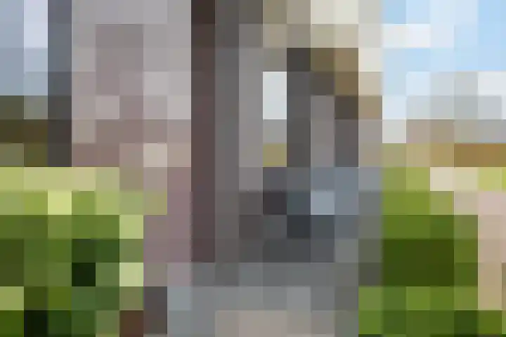 Vuurvlinder 88 Apeldoorn thumbnail 7