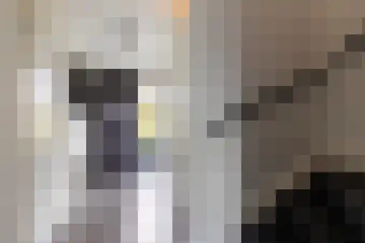 Vuurvlinder 88 Apeldoorn thumbnail 8