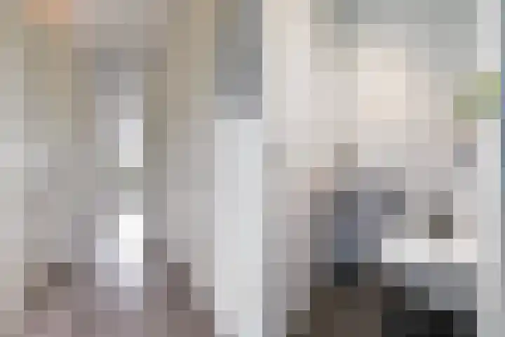 Vuurvlinder 88 Apeldoorn thumbnail 9