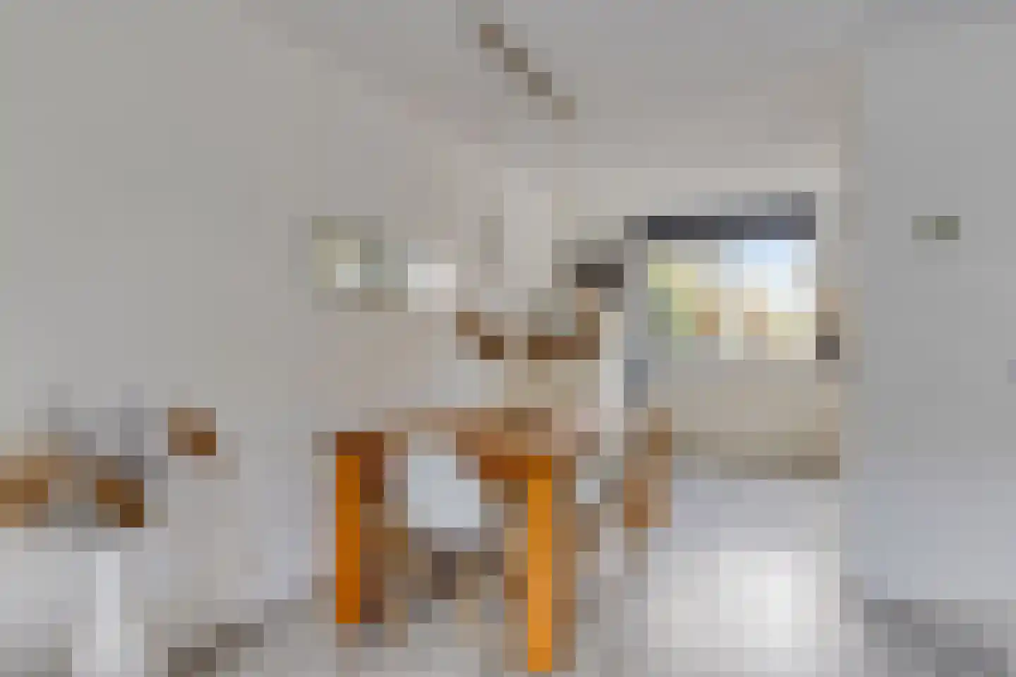 Vuurvlinder 9 Meppel thumbnail 13