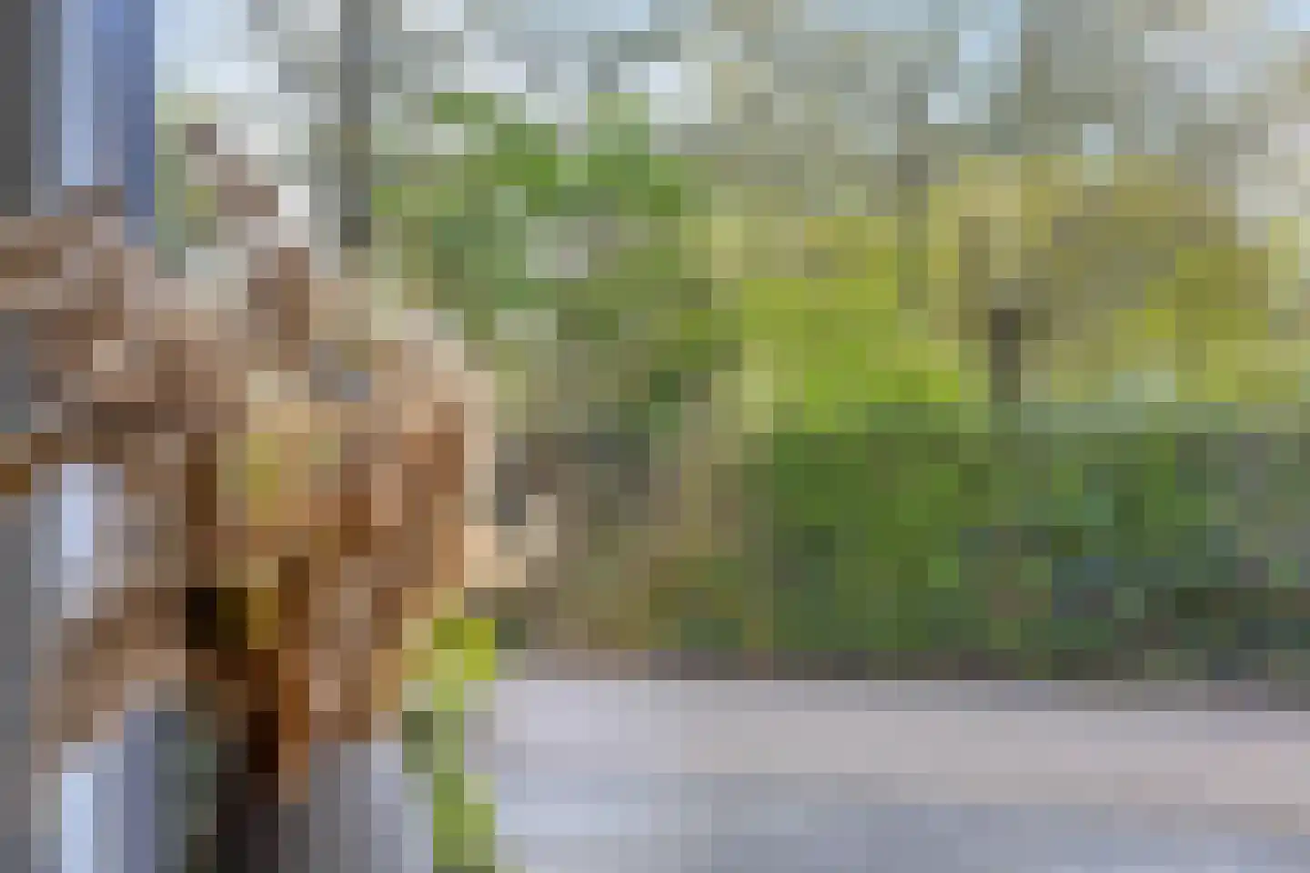 Vuurvlinder 9 Meppel thumbnail 16
