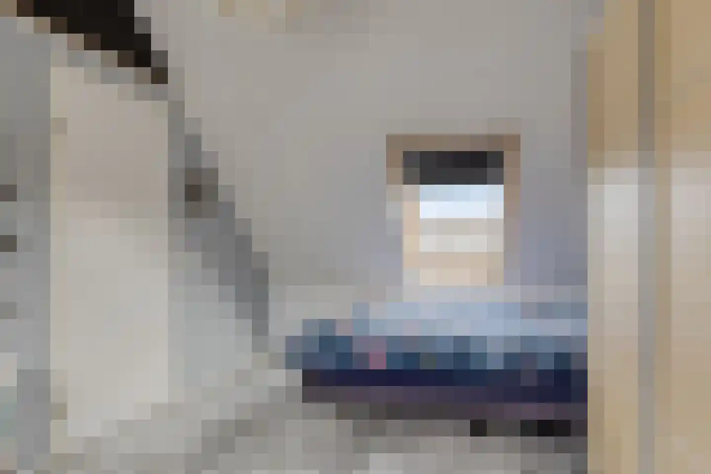 Vuurvlinder 9 Meppel thumbnail 29