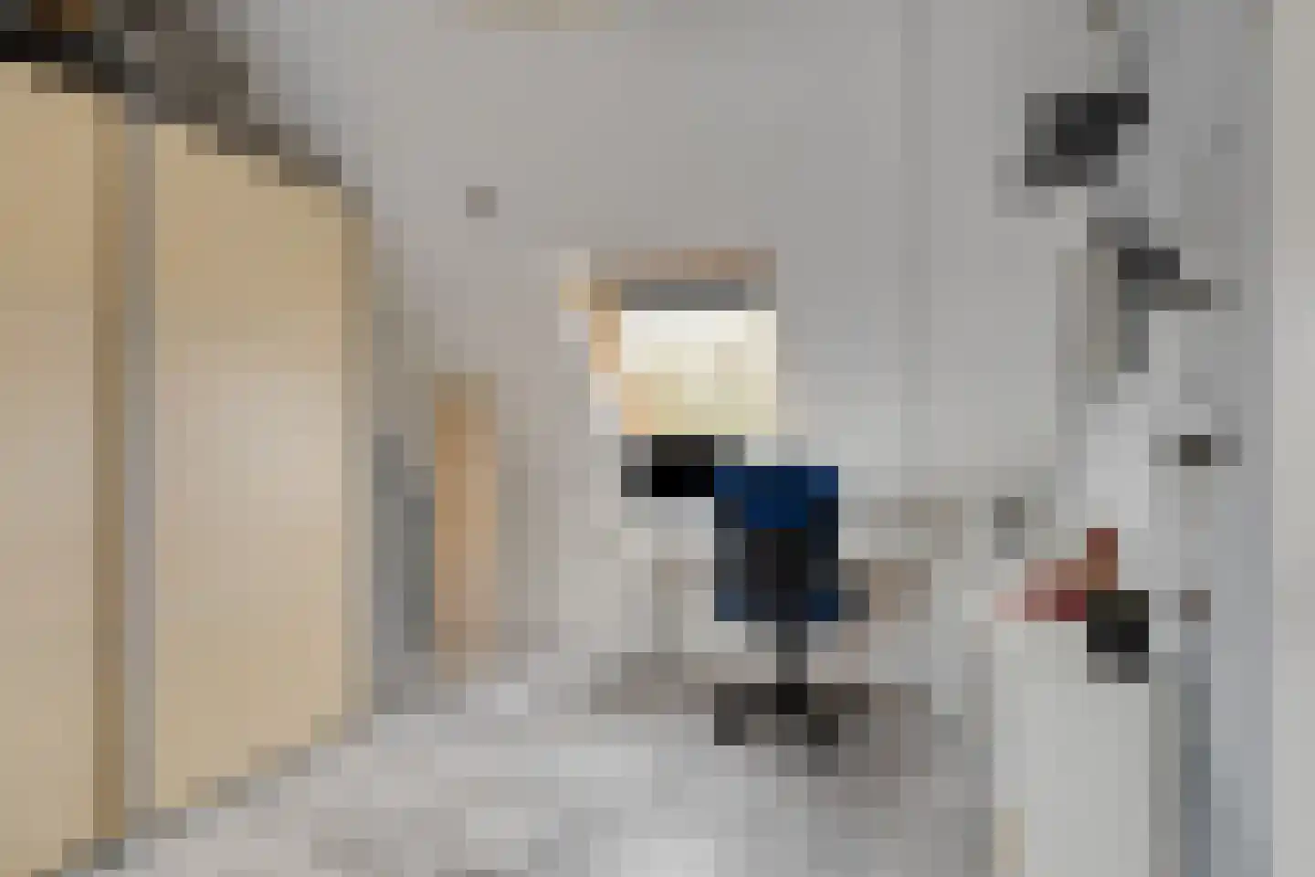 Vuurvlinder 9 Meppel thumbnail 30