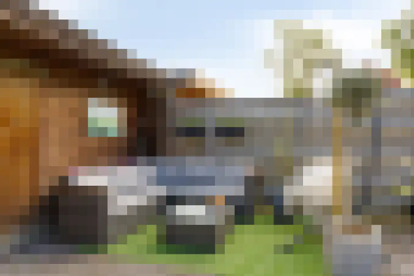 Vuurvlinder 9 Meppel thumbnail 34