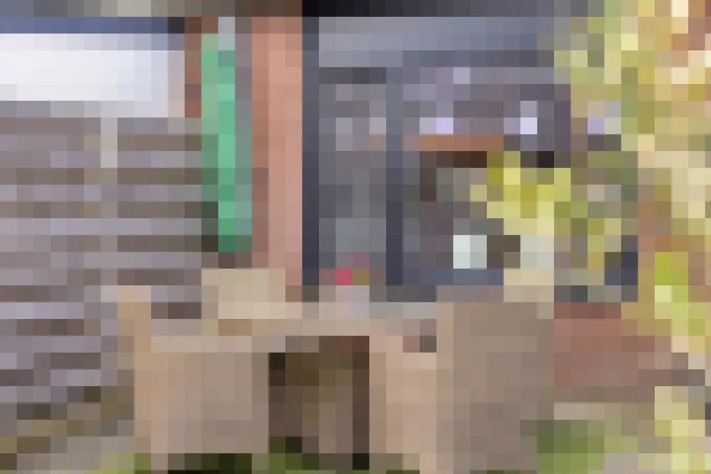 Vuurvlinder 9 Meppel thumbnail 35