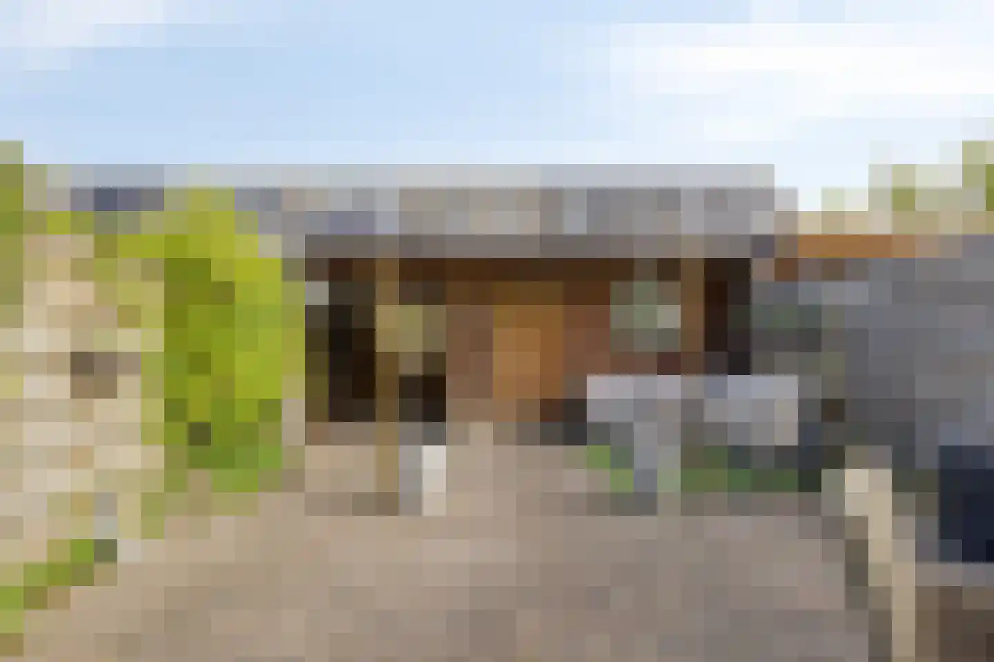Vuurvlinder 9 Meppel thumbnail 4