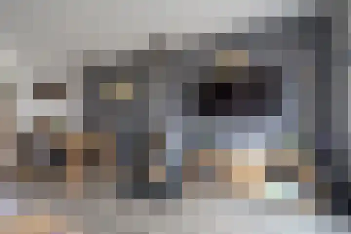 Vuurvlinder 9 Nijkerk thumbnail 13