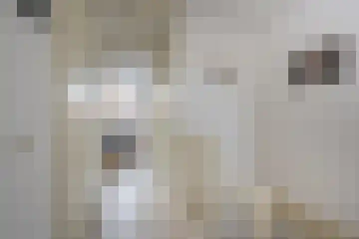 Vuurvlinder 9 Nijkerk thumbnail 20
