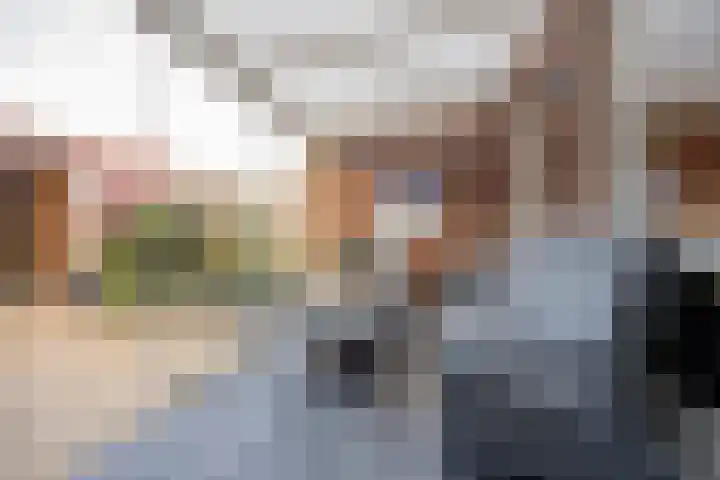 Vuurvlinder 9 Nijkerk thumbnail 26