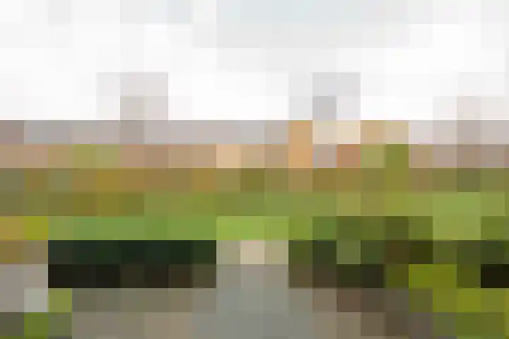Vuurvlinder 9 Nijkerk thumbnail 29