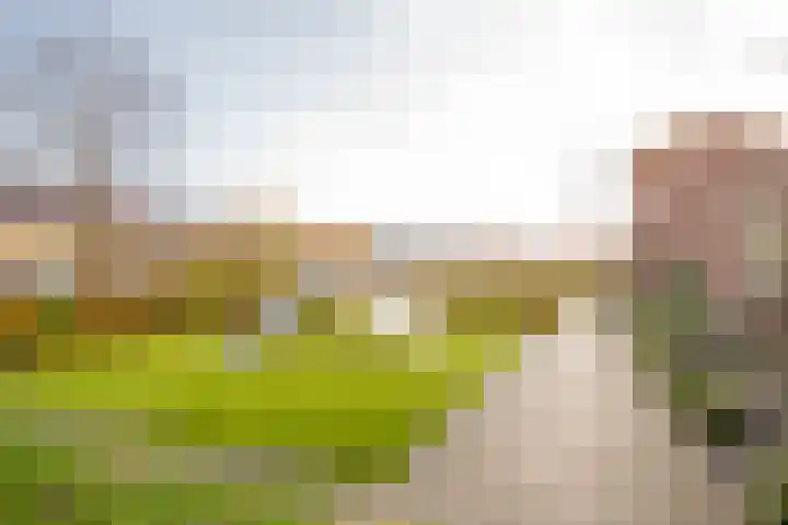 Vuurvlinder 9 Nijkerk thumbnail 30