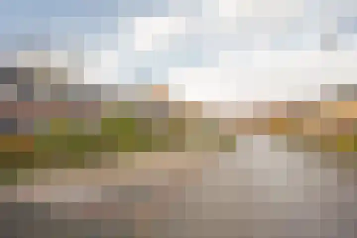 Vuurvlinder 9 Nijkerk thumbnail 31