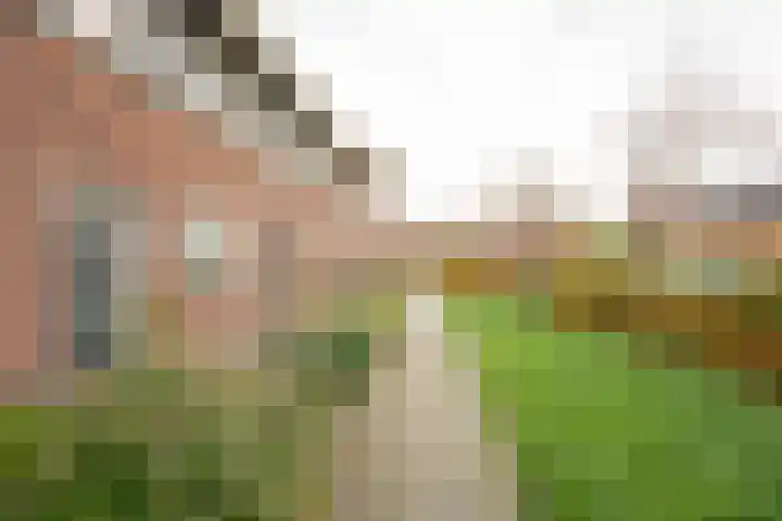 Vuurvlinder 9 Nijkerk thumbnail 32
