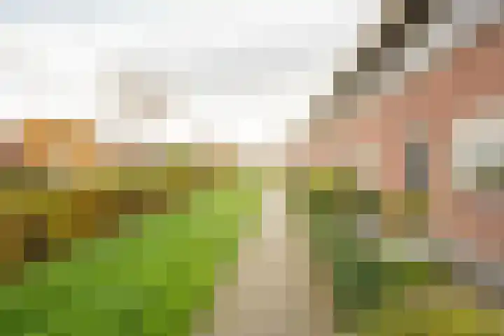 Vuurvlinder 9 Nijkerk thumbnail 33