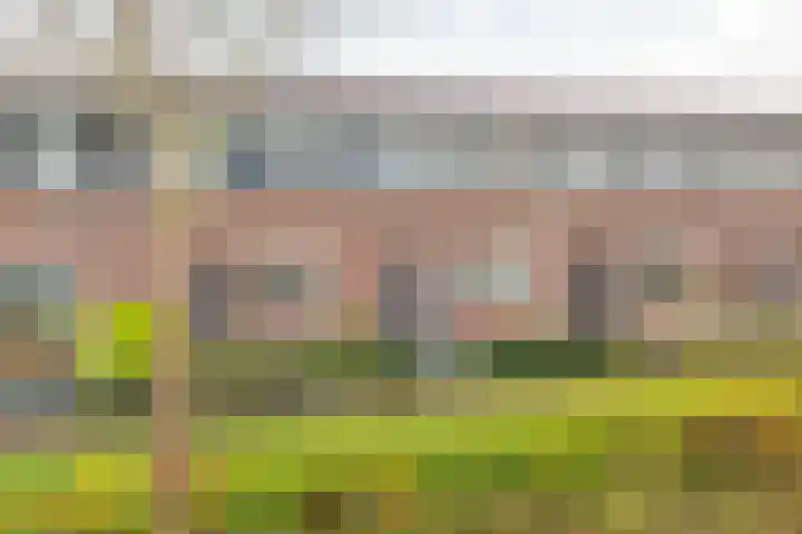 Vuurvlinder 9 Nijkerk thumbnail 34
