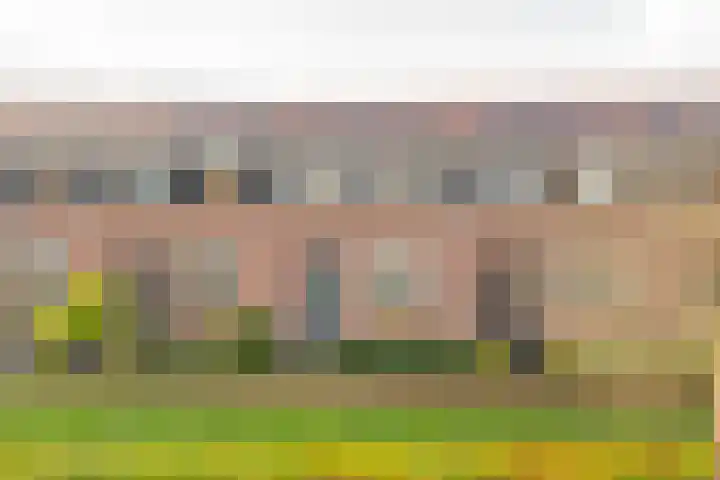 Vuurvlinder 9 Nijkerk thumbnail 35