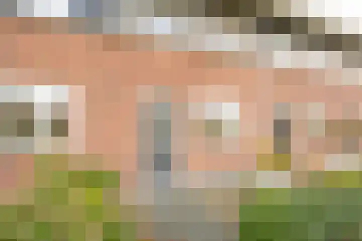 Vuurvlinder 9 Nijkerk thumbnail 5