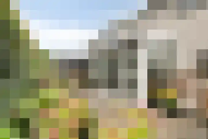 Vuurvlinder 9 Oss thumbnail 18