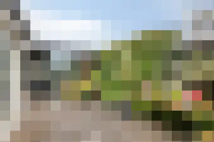 Vuurvlinder 9 Oss thumbnail 19