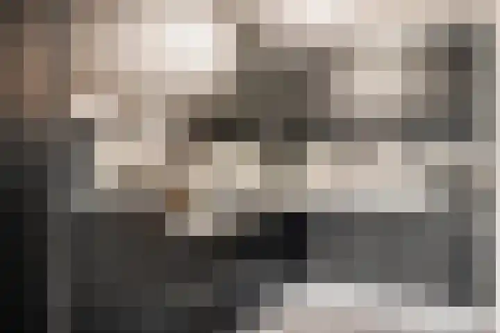 Vuurvlinder 9 Oss foto 3