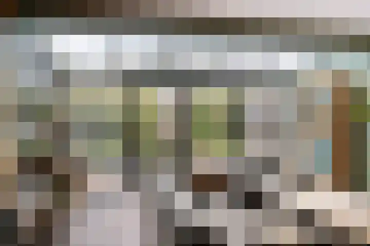 Vuurvlinder 9 Oss thumbnail 6