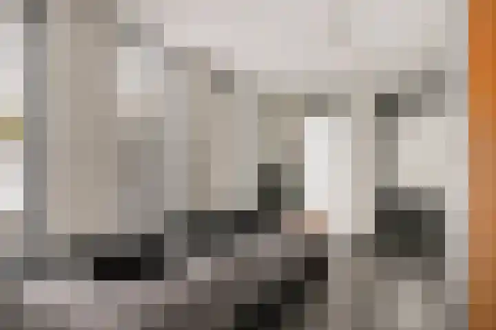Vuurvlinder 9 Oss thumbnail 8