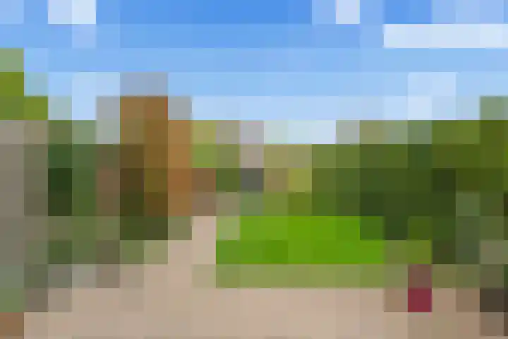 Vuurvlinderberm 18 Houten thumbnail 14