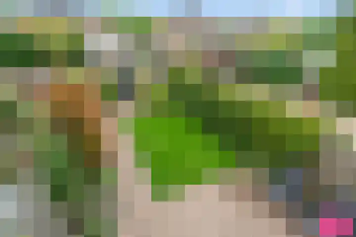 Vuurvlinderberm 18 Houten thumbnail 20